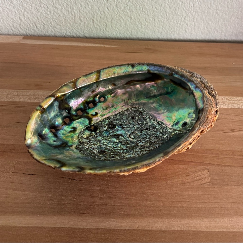 Abalone Shell Dish Catchall